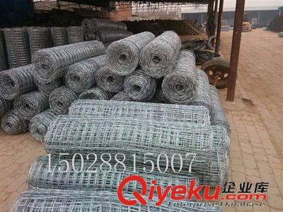 鍍鋅絲石籠網(wǎng)規(guī)格齊全 六角網(wǎng)最新報價-安平縣鹿都金屬制品提供鍍鋅絲石籠網(wǎng)規(guī)格齊全 六角網(wǎng)最新報價的相關(guān)介紹、產(chǎn)品、服務(wù)、圖片、價格安平縣鹿都金屬制品、金屬絲網(wǎng);石籠網(wǎng);護欄網(wǎng);電焊網(wǎng);勾花網(wǎng);鋼板網(wǎng);軋花網(wǎng);消毒筐