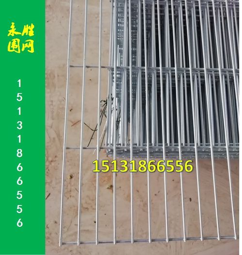 加密孔鴿棚鍍鋅圍網(wǎng) 河北永勝絲網(wǎng)制品廠