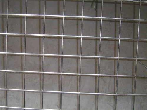 不銹鋼網(wǎng)片 ,安平縣啟隆五金絲網(wǎng)制品廠